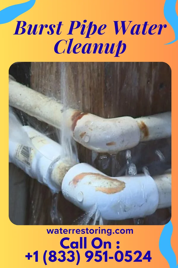 Burst Pipe Water Cleanup in Jackson Junction, IA