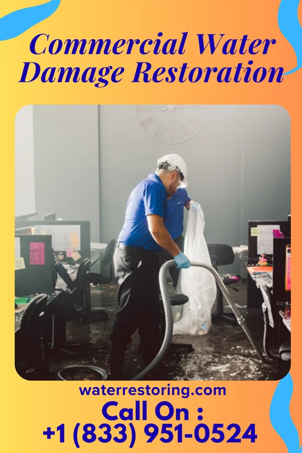 Commercial Water Damage Restoration in Jackson Junction, IA