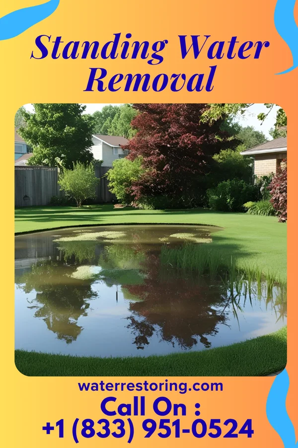 Standing Water Removal in Jackson Junction, IA